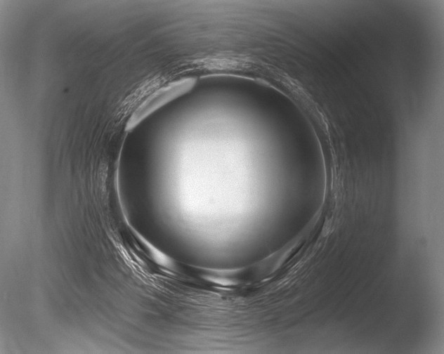 X0000086250201200703291415