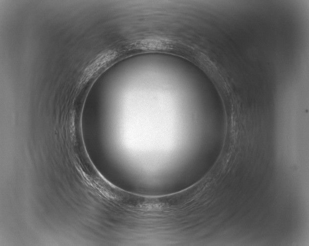 X0000086250202200703291415