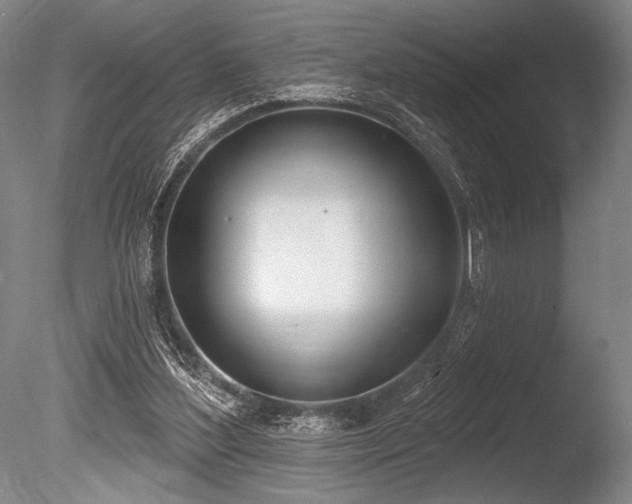 X0000086250204200703291415