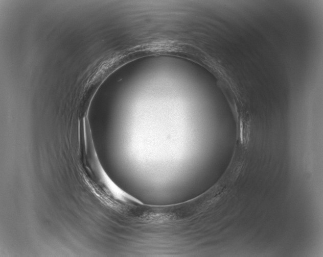X0000086250205200703291415