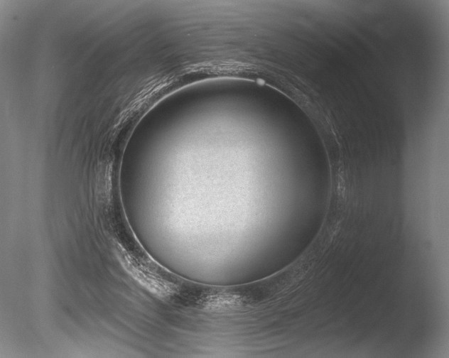 X0000086250206200703291415