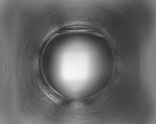 X0000086250207200703291415