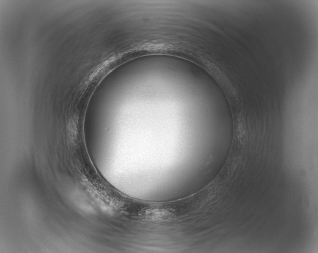 X0000086250208200703291415