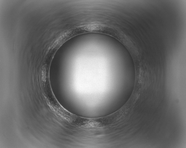 X0000086250210200703291415