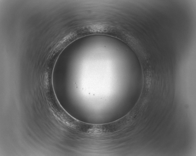 X0000086250211200703291415