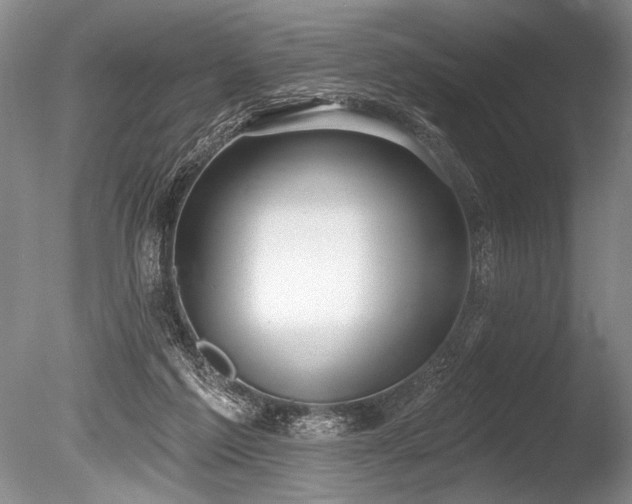 X0000086250213200703291415