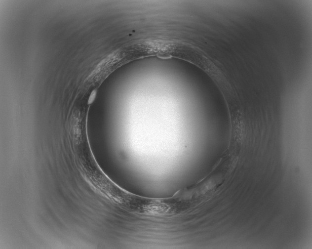 X0000086250215200703291415