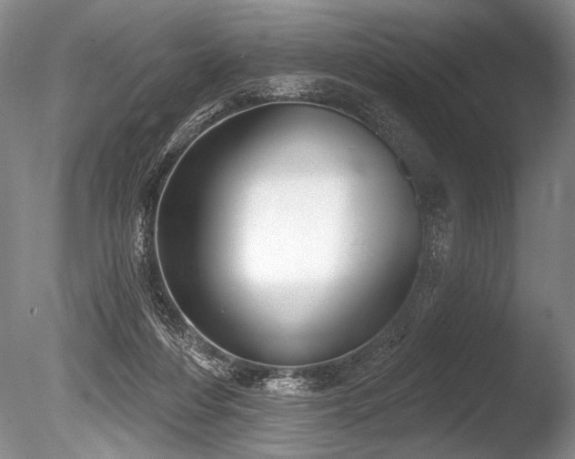 X0000086250216200703291415