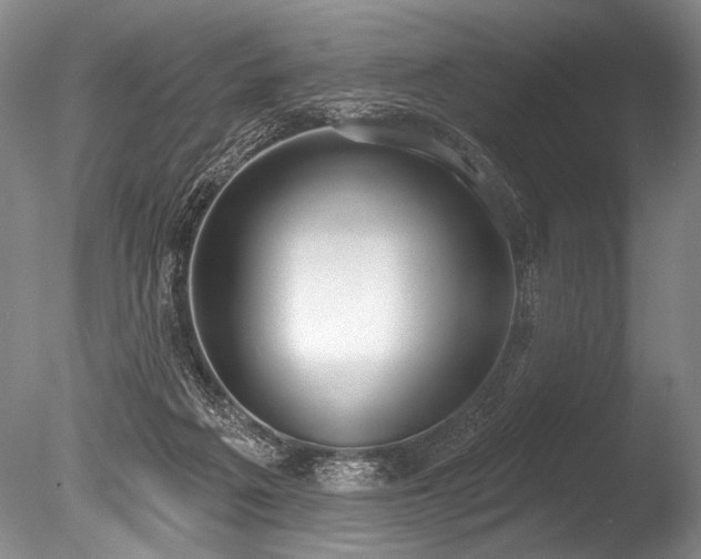 X0000086250217200703291415