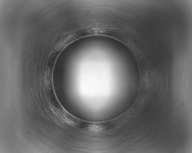 X0000086250218200703291415