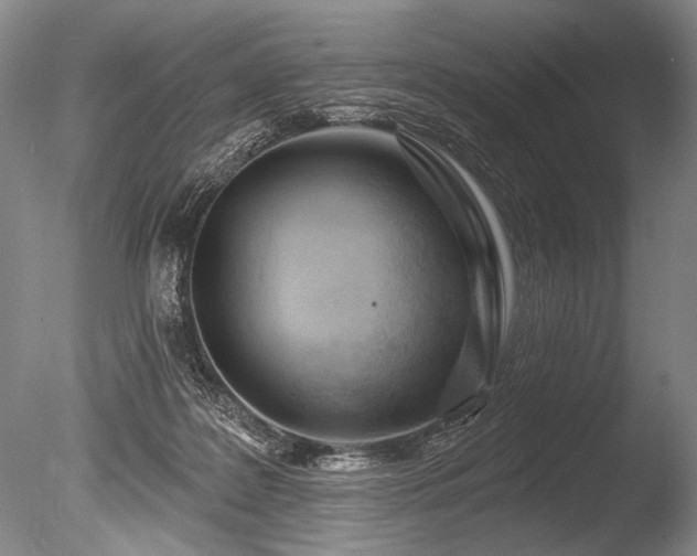 X0000086250219200703291415