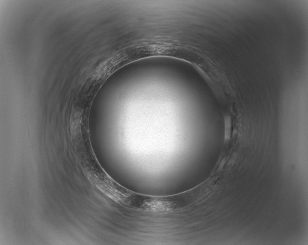 X0000086250221200703291415
