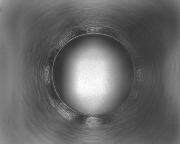 X0000086250222200703291415