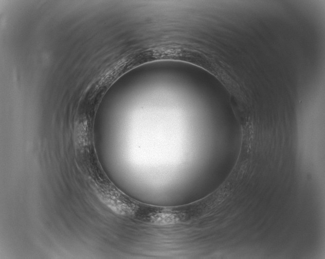 X0000086250224200703291415
