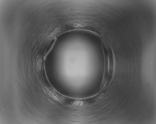 X0000086250227200703291415