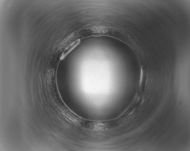 X0000086250229200703291415