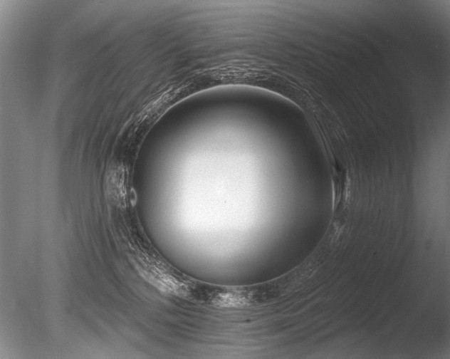X0000086250232200703291415