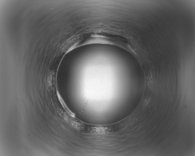 X0000086250233200703291415