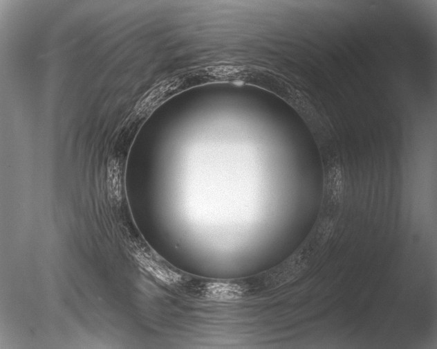 X0000086250234200703291415