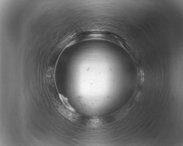 X0000086250237200703291415