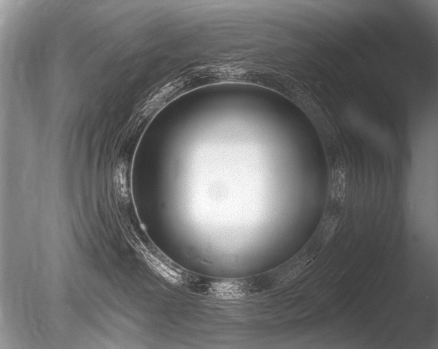 X0000086250238200703291415