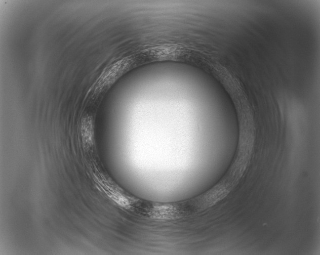 X0000086250240200703291415