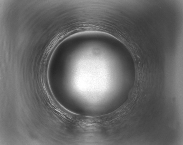 X0000086250241200703291414