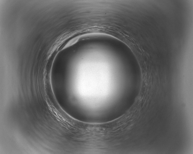 X0000086250242200703291414