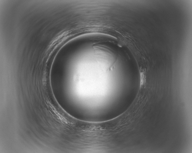 X0000086250243200703291414