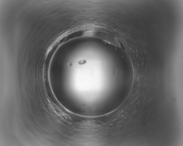 X0000086250244200703291414