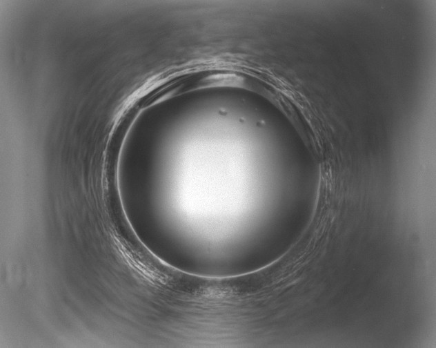 X0000086250248200703291414