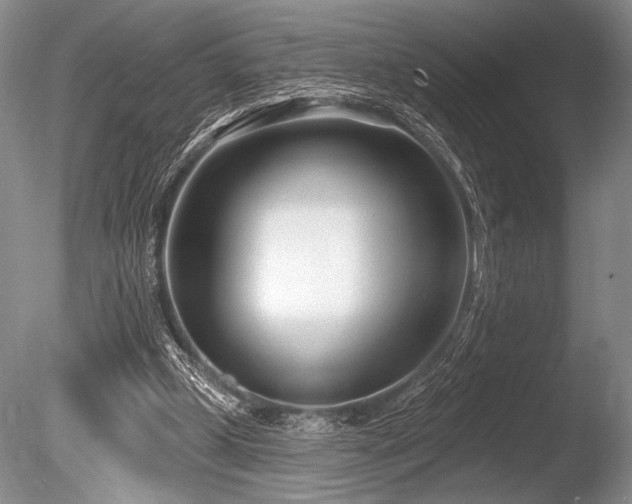 X0000086250249200703291414
