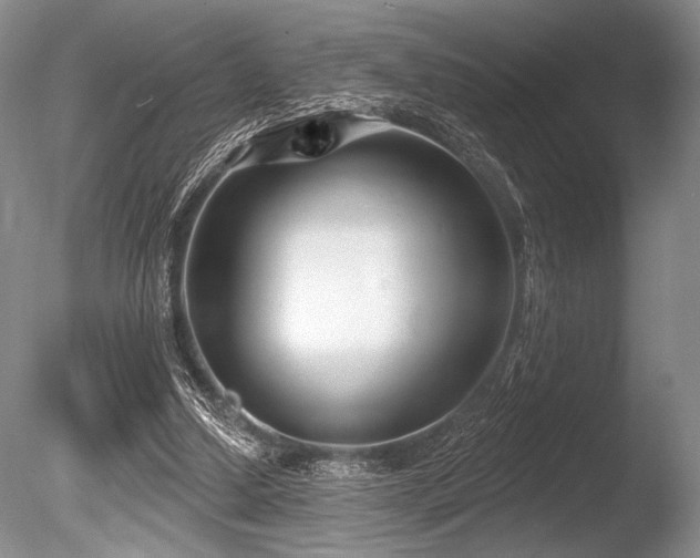 X0000086250250200703291414