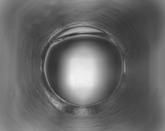 X0000086250253200703291414