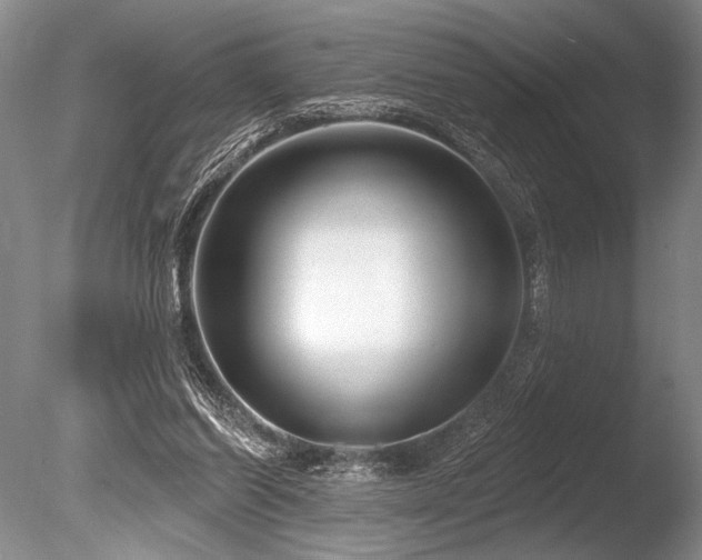 X0000086250254200703291414