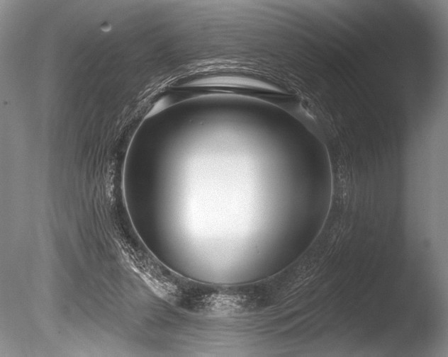 X0000086250255200703291414