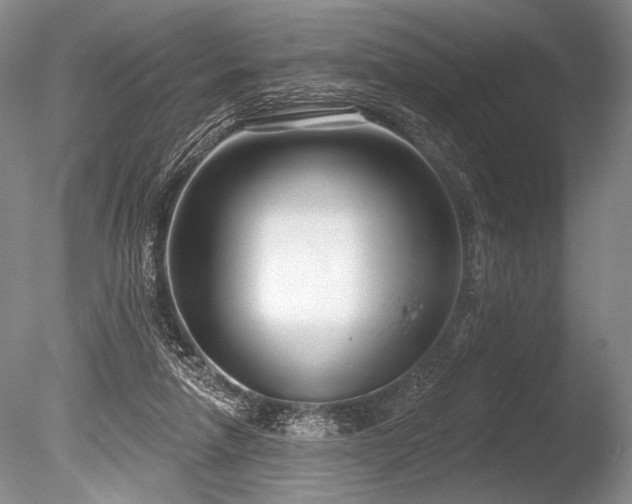 X0000086250258200703291414