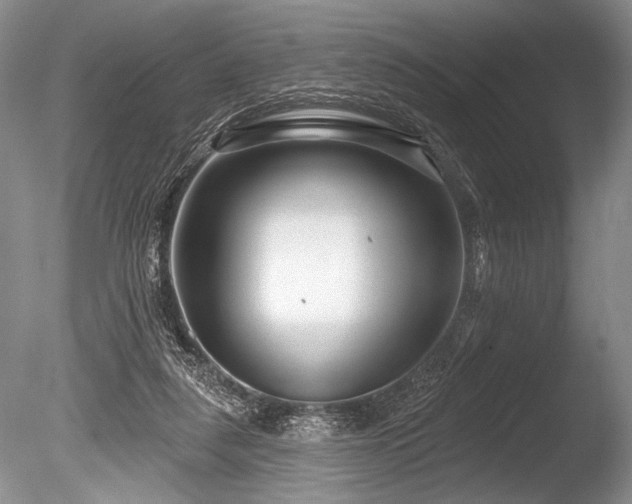 X0000086250259200703291414