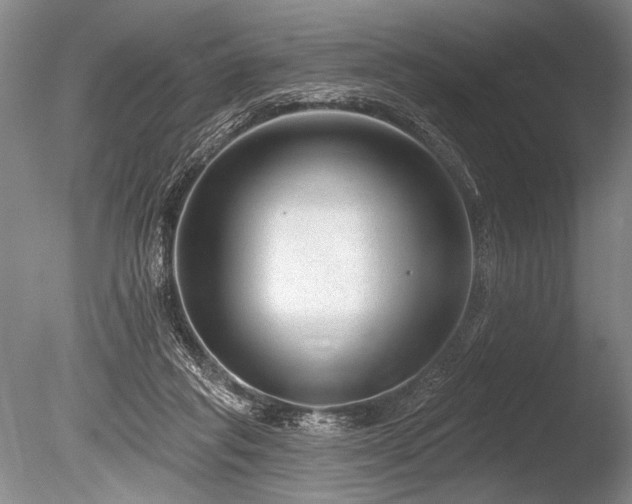 X0000086250261200703291414