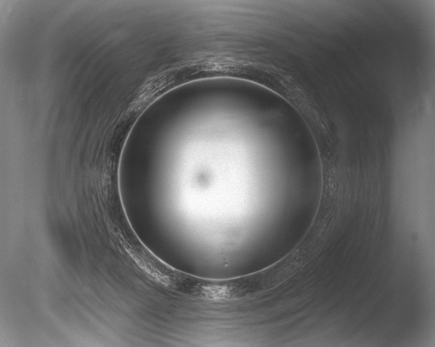 X0000086250265200703291414