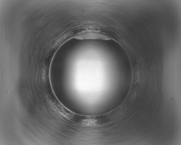 X0000086250266200703291414