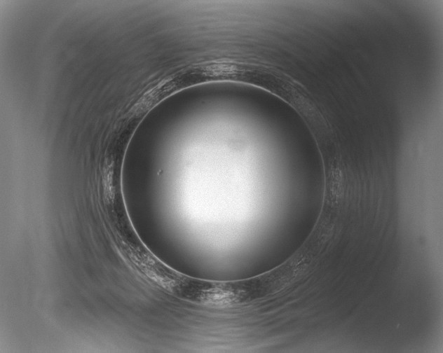 X0000086250267200703291414