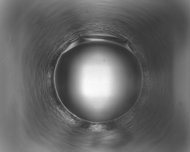 X0000086250269200703291414