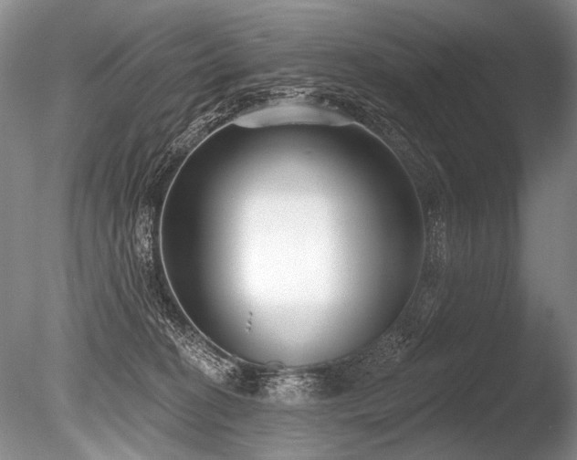 X0000086250274200703291415