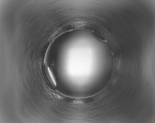 X0000086250283200703291415