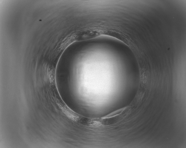 X0000086250285200703291415
