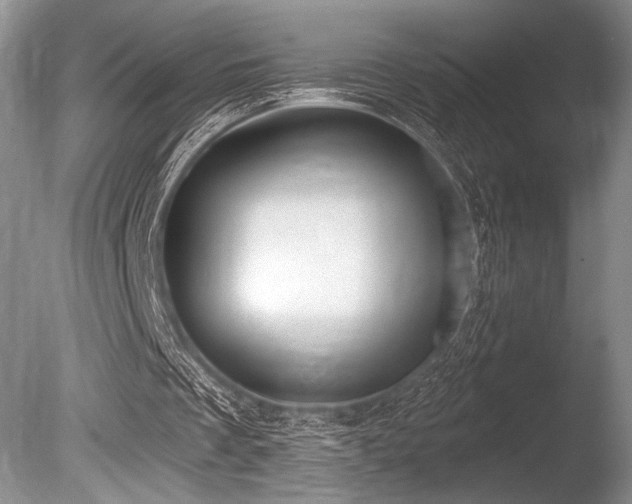 X0000086250289200703291414