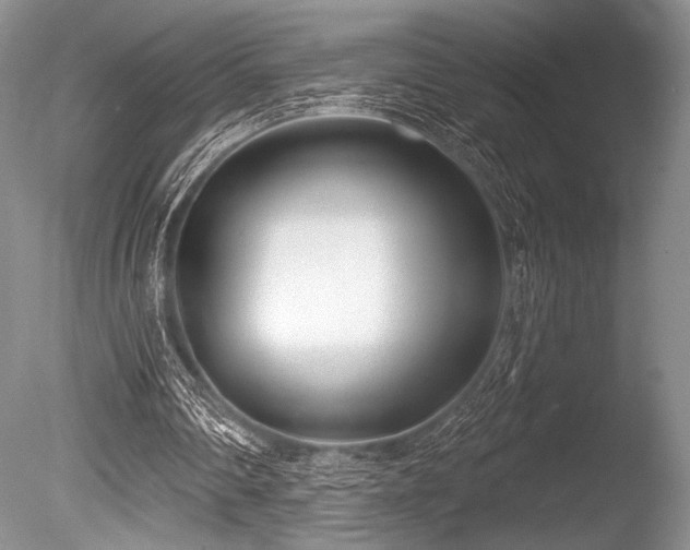 X0000086250290200703291414