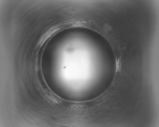 X0000086250291200703291414