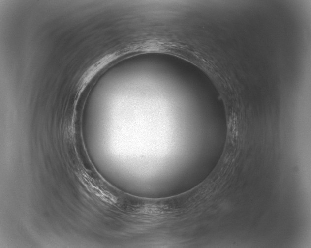 X0000086250292200703291414